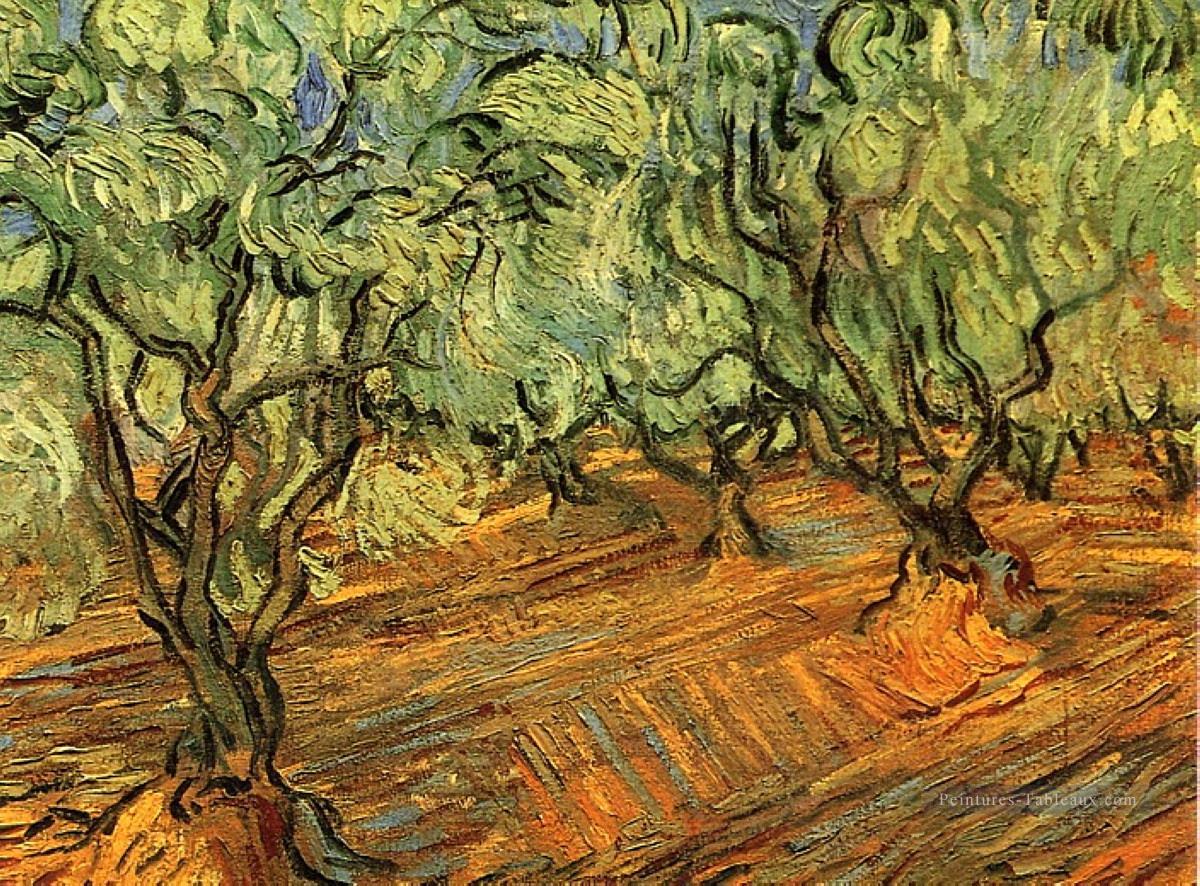 Oliveraie Ciel bleu vif 2 Vincent van Gogh Peintures à l'huile